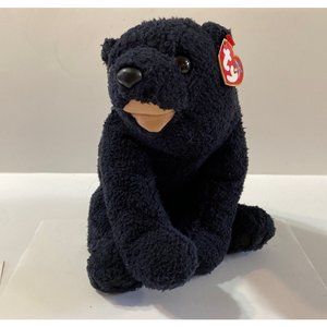 Ty Beanie Buddy Cinders The Black Bear 2001 Stuffed Animals